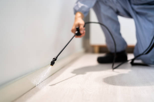 Licensed Pest Control service in North Bethesda, MD - Nex Pest Control