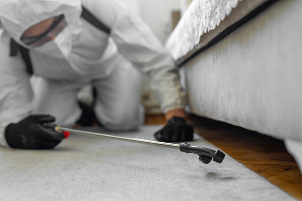 Professional Pest Control technician working in North Bethesda, MD