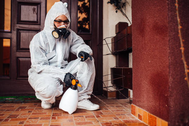 Reliable Cockroach Control contractor in North Bethesda, MD by Nex Pest Control