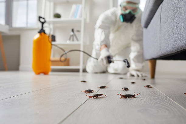 Trusted Cockroach Control service in North Bethesda, MD - Nex Pest Control
